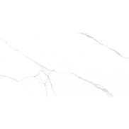 Атлантик Уайт Керамогранит и белый 60х120 полированный