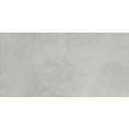 Эволюшн Смоук Керамогранит светло-серый SG50001120R 59,5х119,1 матовый гравированный
