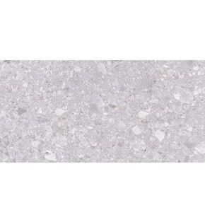 Matrix Керамогранит светло-серый K952681R0001LPEP 60х120