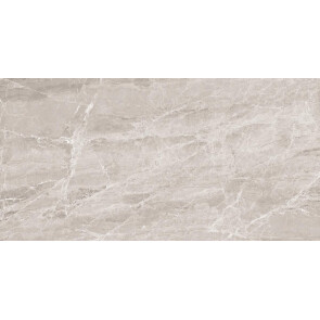 Nostalgic Silver Керамогранит 60х120 Полированный