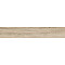 Rainwood керамогранит табачный SG517300R 20х120