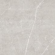 Сканди Керамогранит светло-серый обрезной SG645120R 59,5х59,5 матовый