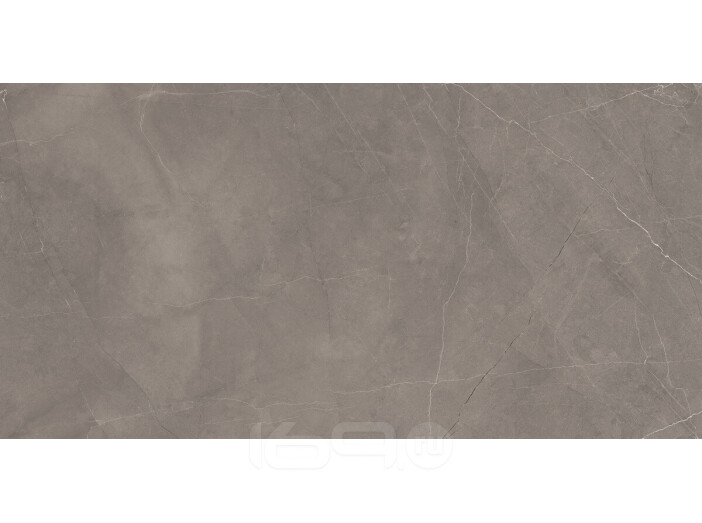 Сплэш Грей Керамогранит серый 60х120 матовый гравированный