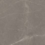 Сплэш Грей Керамогранит серый 60х60 матовый гравированный