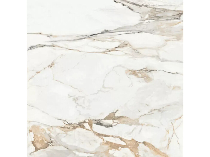 Статуарио Порш Керамогранит 60х60 матовый