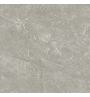 Wolf Grey Керамогранит 80х80 Сатинированный
