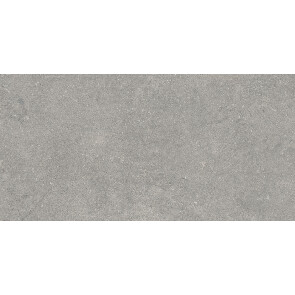 Newcon Керамогранит Серебристо-серый K945752R0001VTE0 30х60