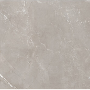 Витрум Гриджио Керамогранит серый 60х60 полированный