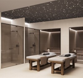 Betonica Crema PRO