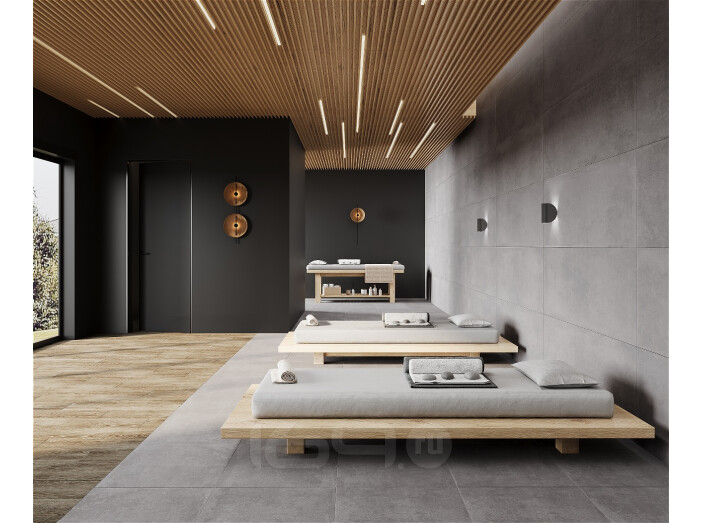 Betonica Grey PRO