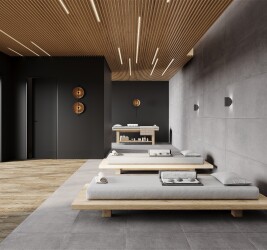 Betonica Grey PRO