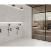 tumb 3 - Betonica Silver PRO