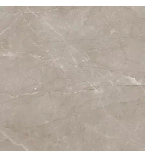Savoy Керамогранит коричневый SG168200N 40,2х40,2