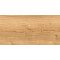 Woodhouse глаз. керамогранит коричневый (16346) 29,7х59,8