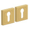 Накладка цилиндровая на квадратной розетке Bravo AS-1CL Sgold