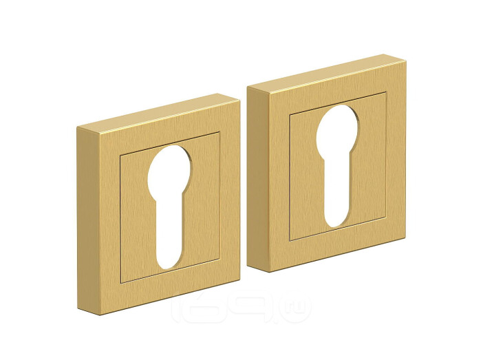 Накладка цилиндровая на квадратной розетке Bravo AS-1CL Sgold