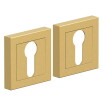 Накладка цилиндровая на квадратной розетке Bravo AS-1CL Sgold