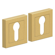 Накладка цилиндровая на квадратной розетке Bravo AS-1CL Sgold