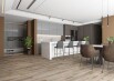 Ламинат SPC 43 класс 4V FloorBee Project, толщина 4.3 мм, 1002 Рея