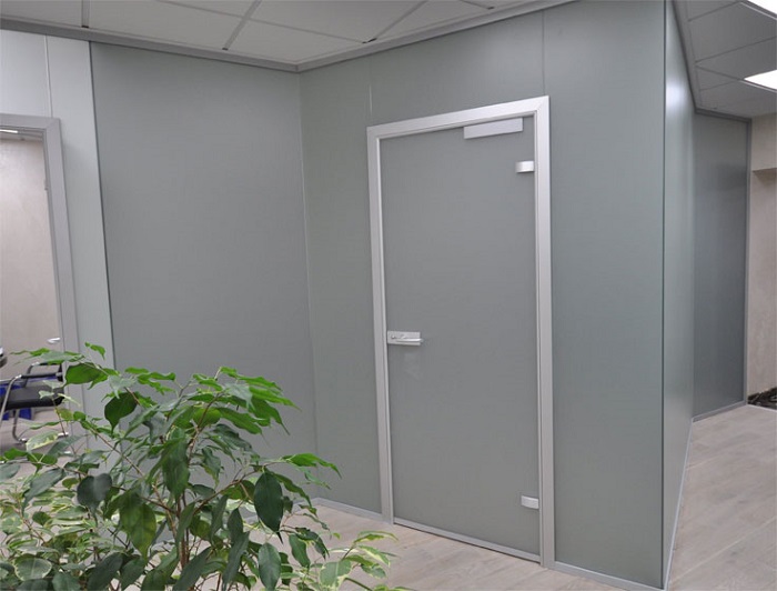 Алюминиевые двери в офисе