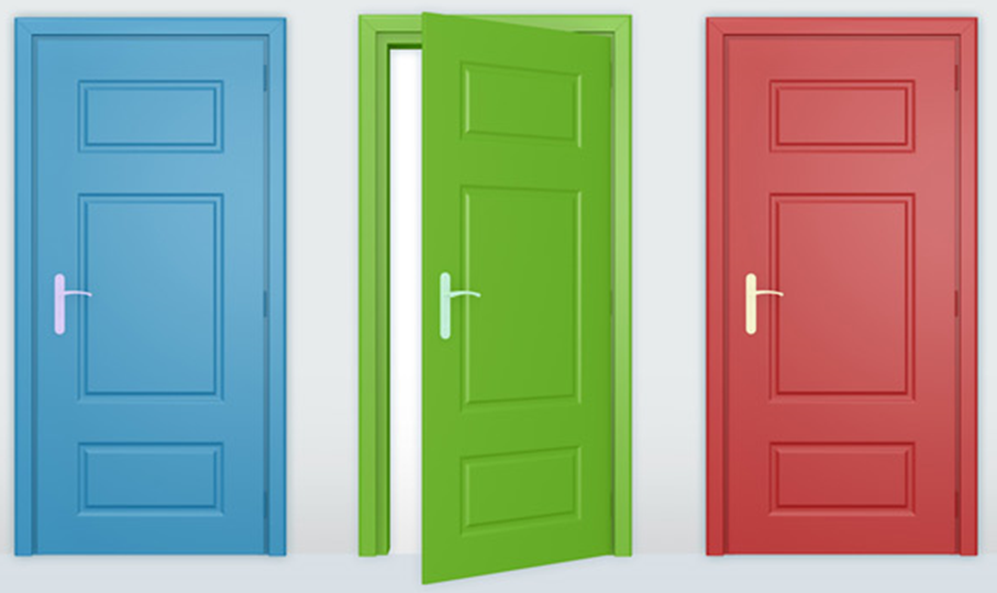 Многообразие цветовых решений дверей с эмалью