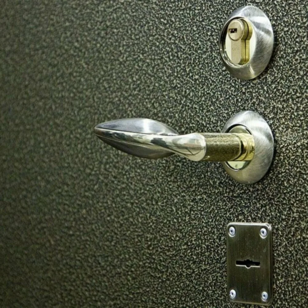Как и чем покрасить входную металлическую дверь своими руками