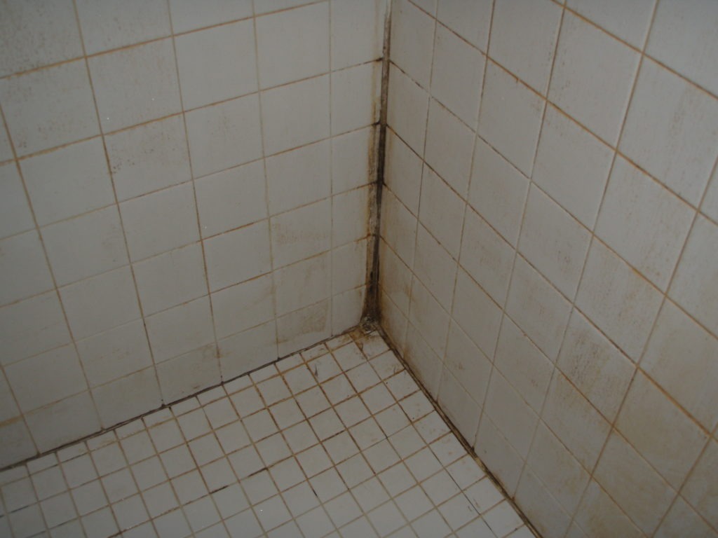 Плесень на плитке в ванной появляется в углах