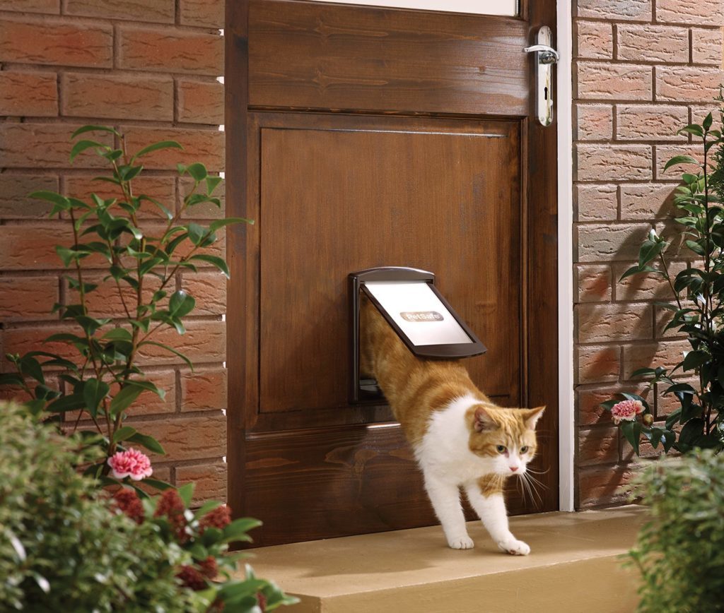 Дверца для кота