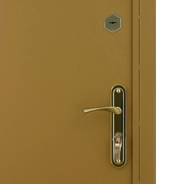 Дверь из металла коричневого цвета